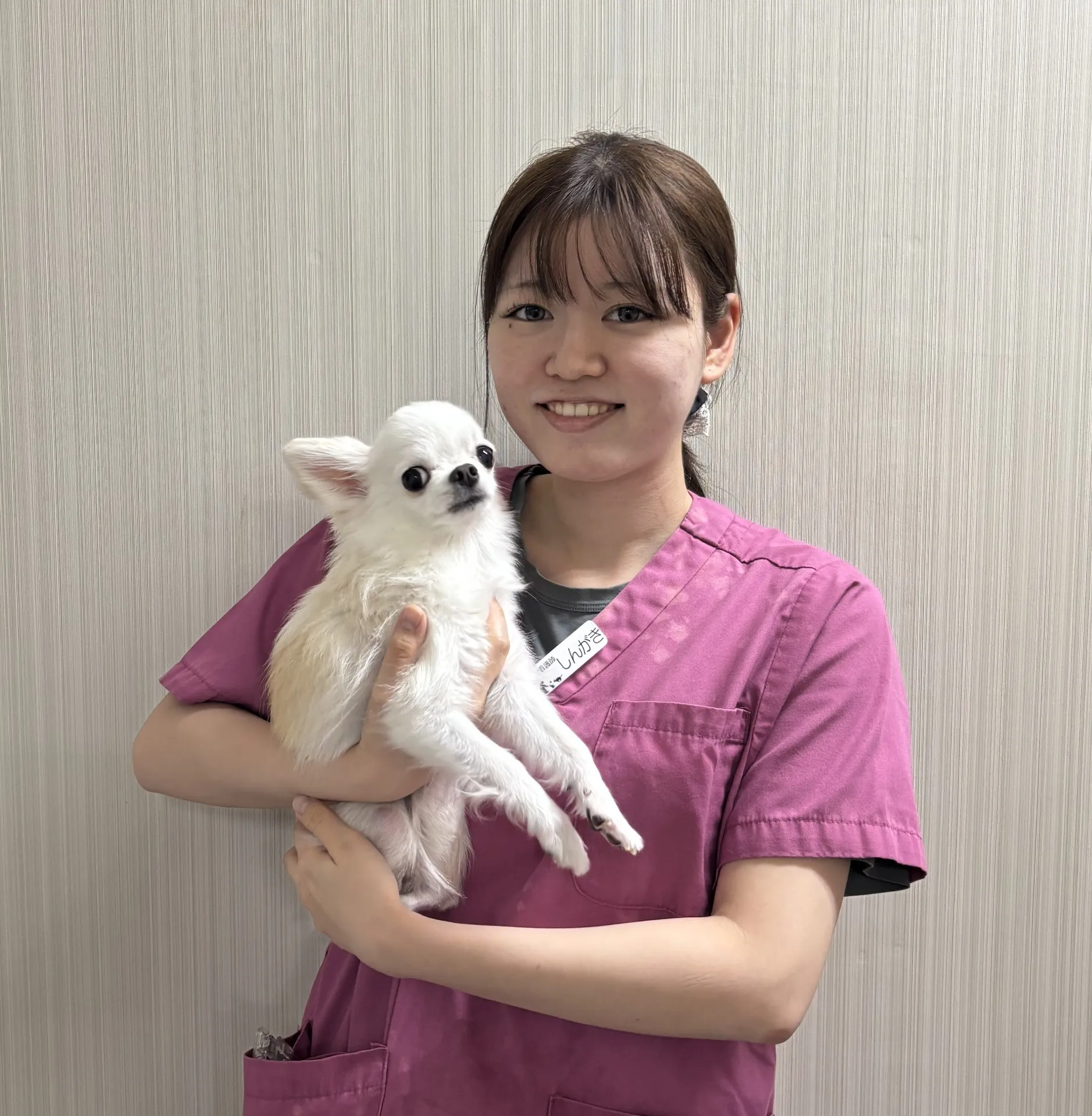 新垣